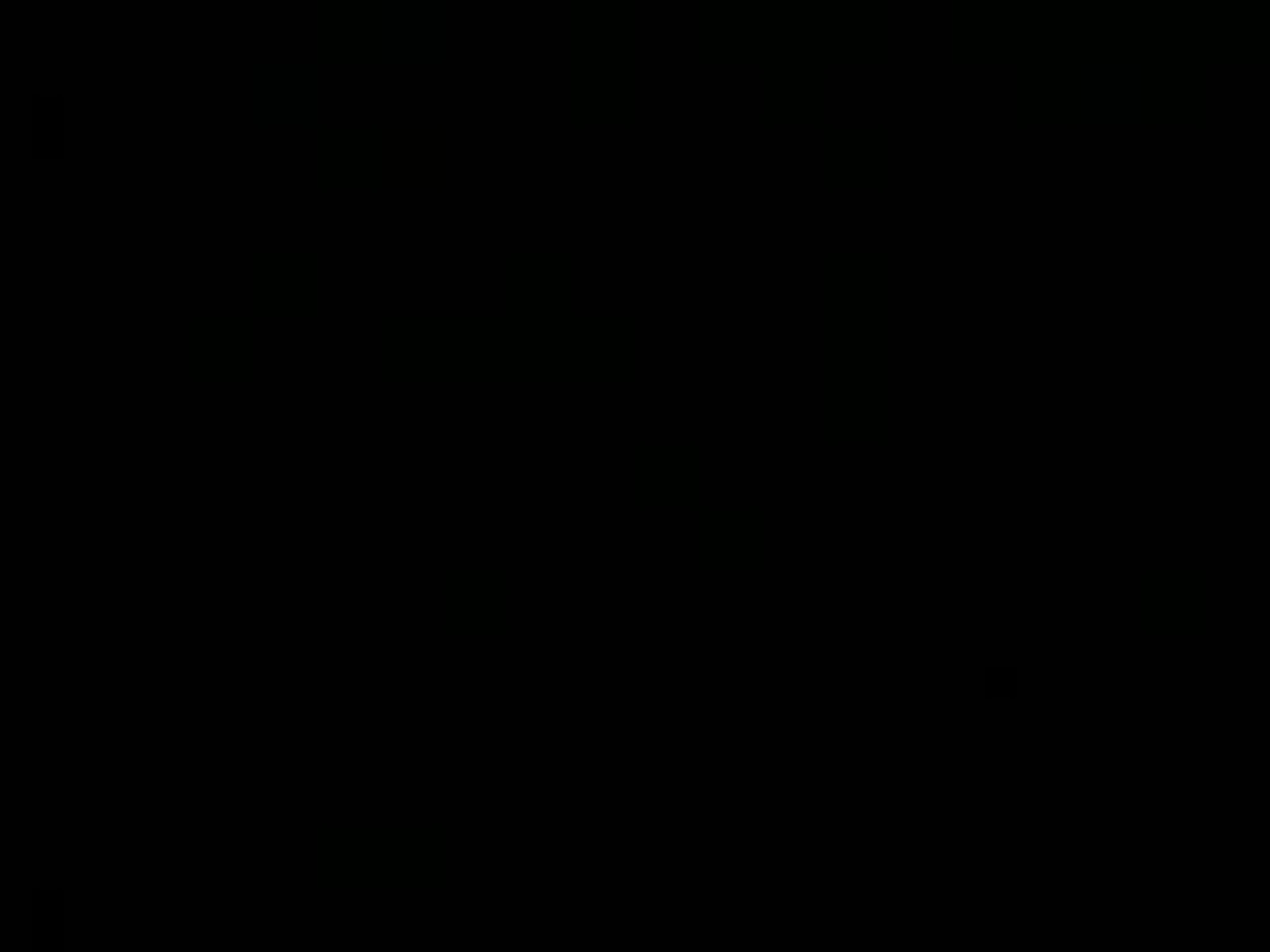 North Pole 1: The Loadman Cummith 1 / Devil's Films & North Pole prod. (группа Good Porno)