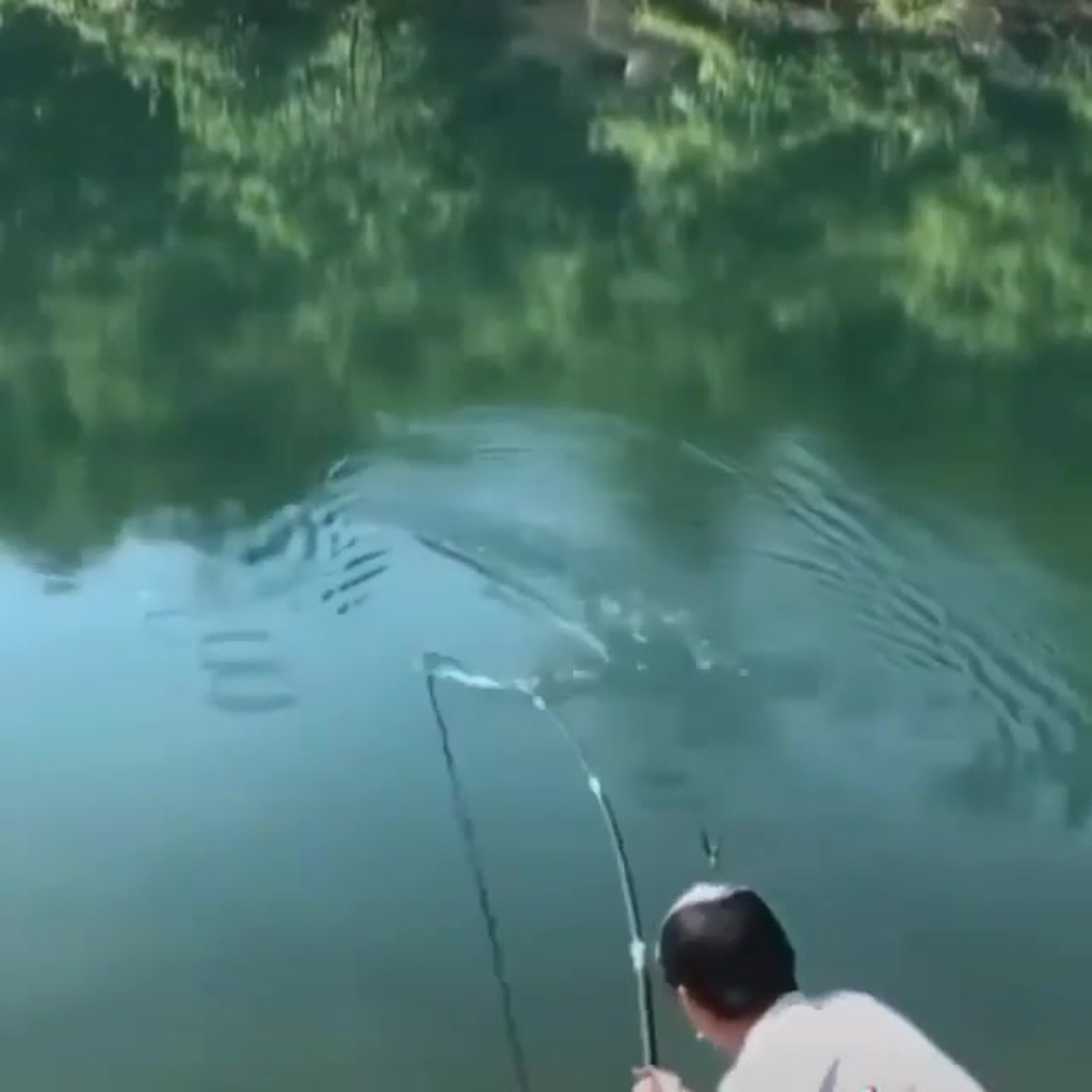 вот это рыбак 😄