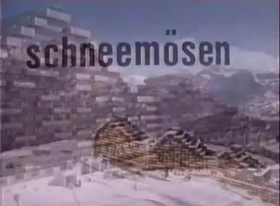 Schneemosen