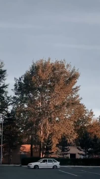 бпан в ленте 😍