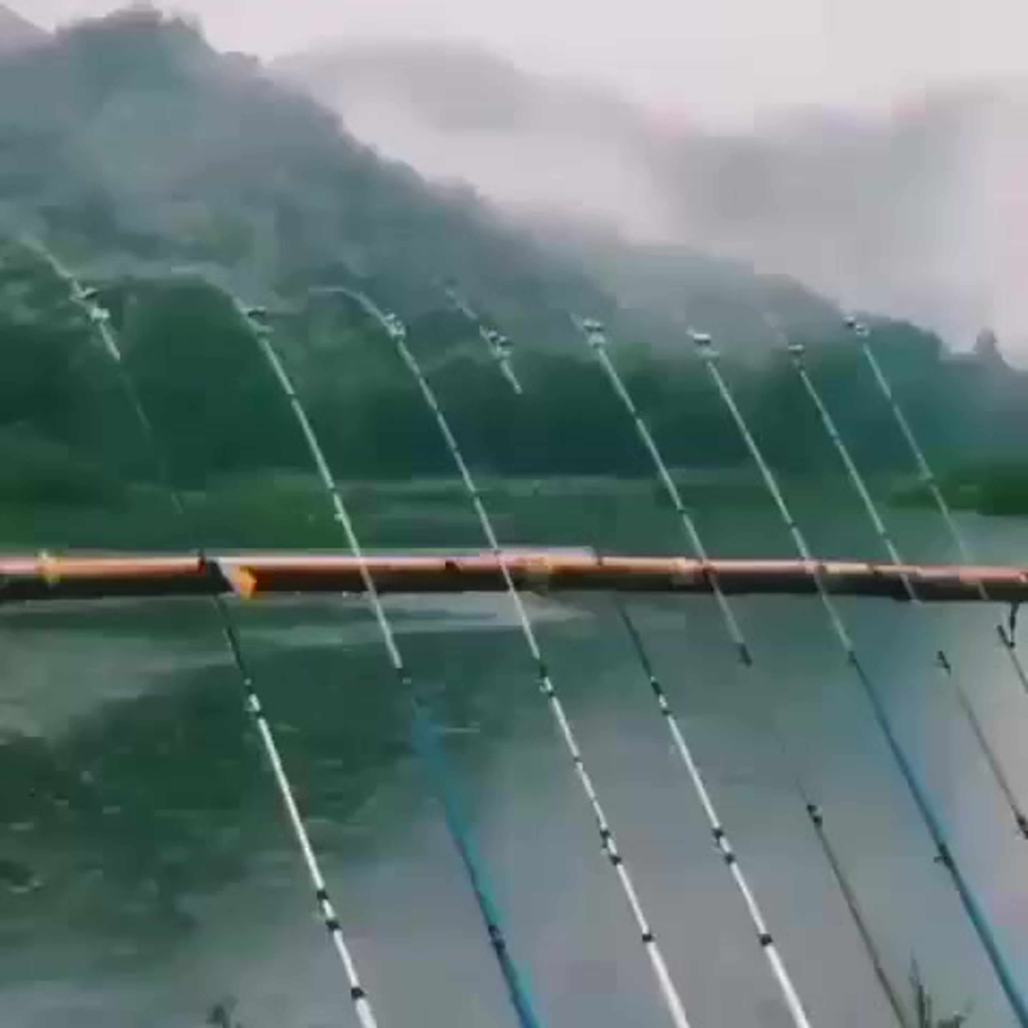 надо подсекать😊