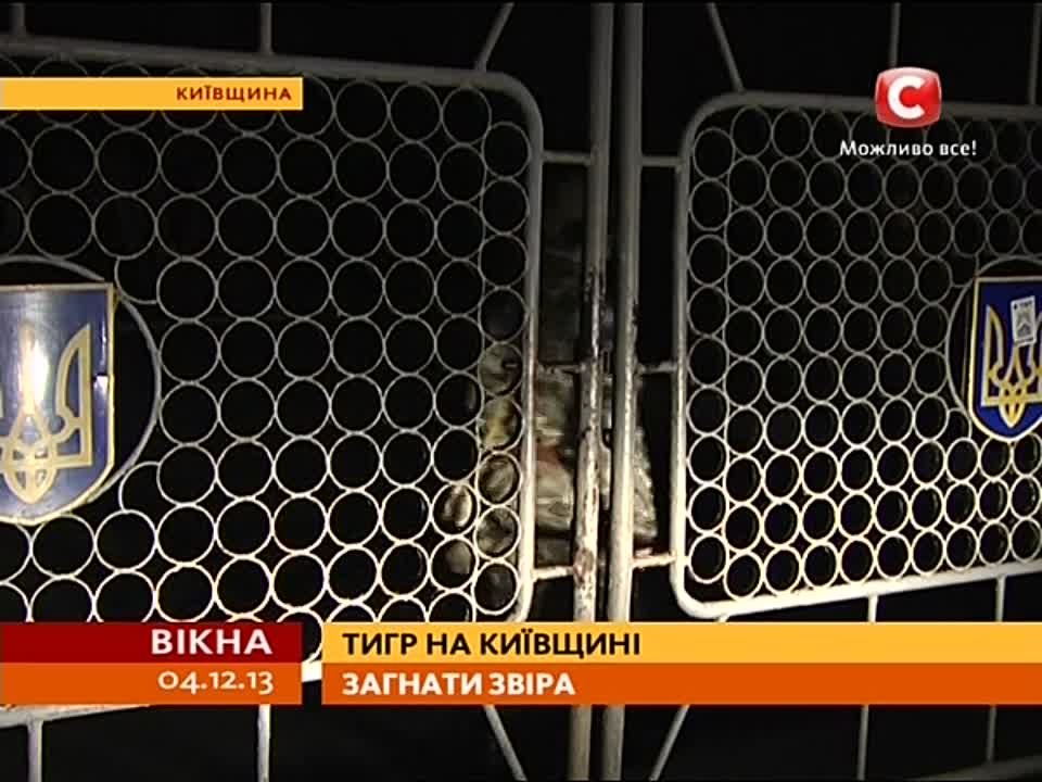 СТБ.